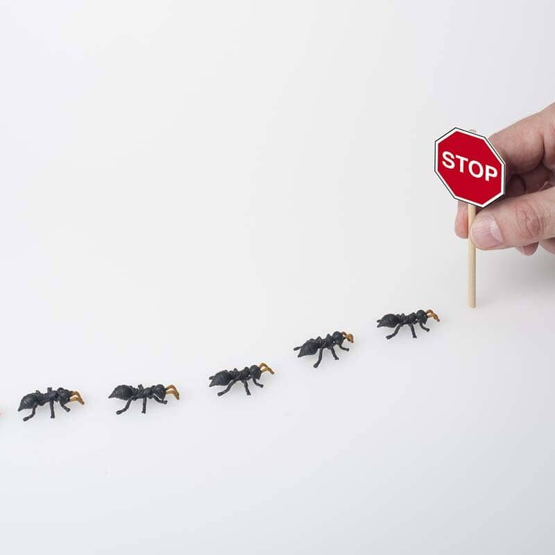 Ant Control in Sacramento Reasons to Hire a Professional Service