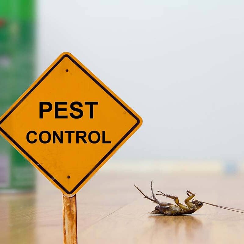 How Well Does Pet-Safe Pest Control Work