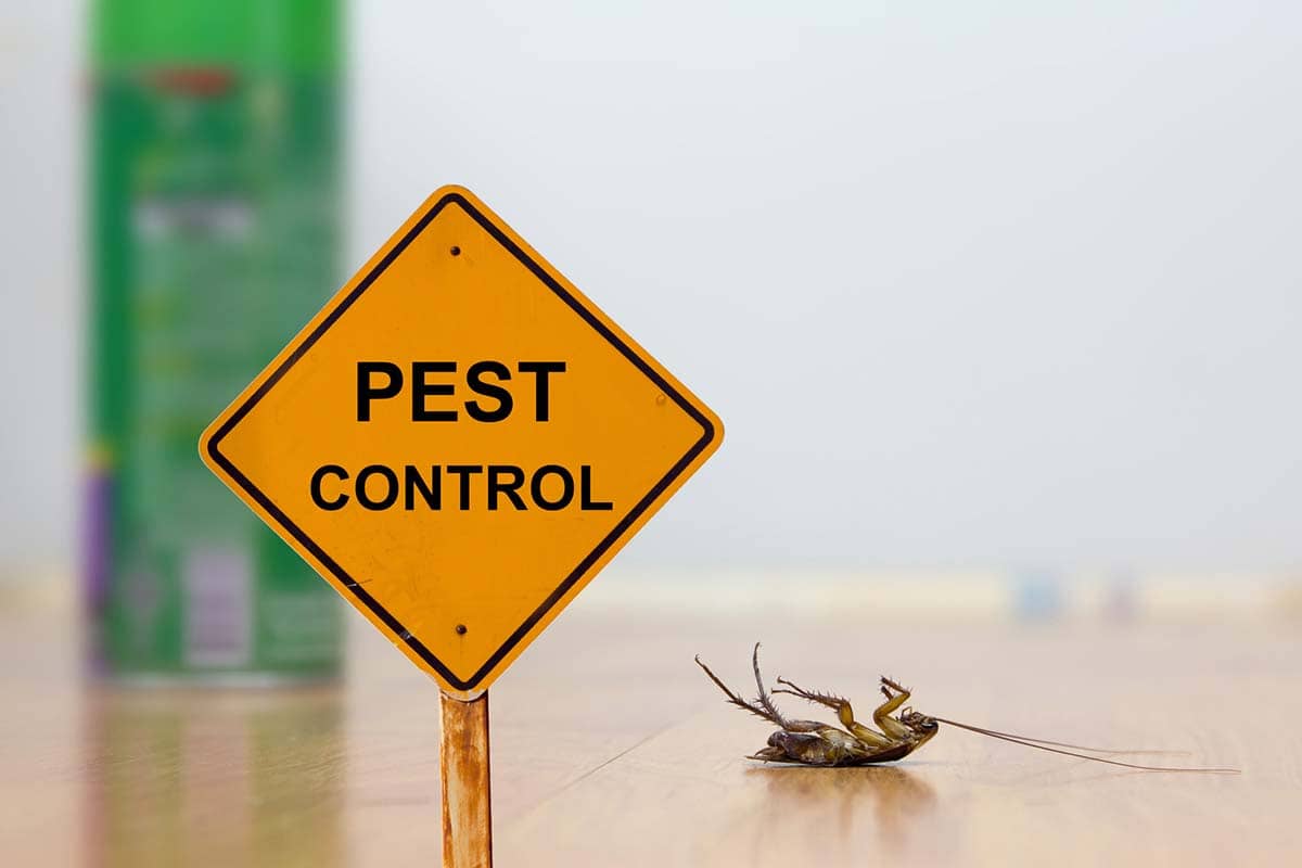 How Well Does Pet-Safe Pest Control Work