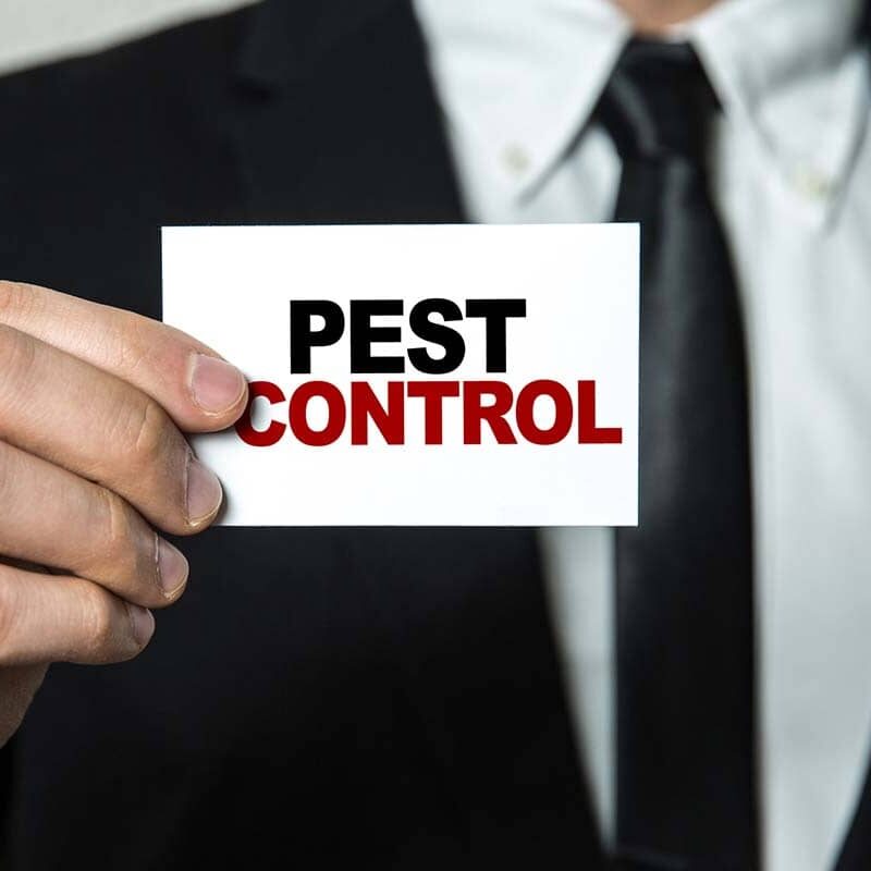 How to Find the Best Sacramento Pest Control Services