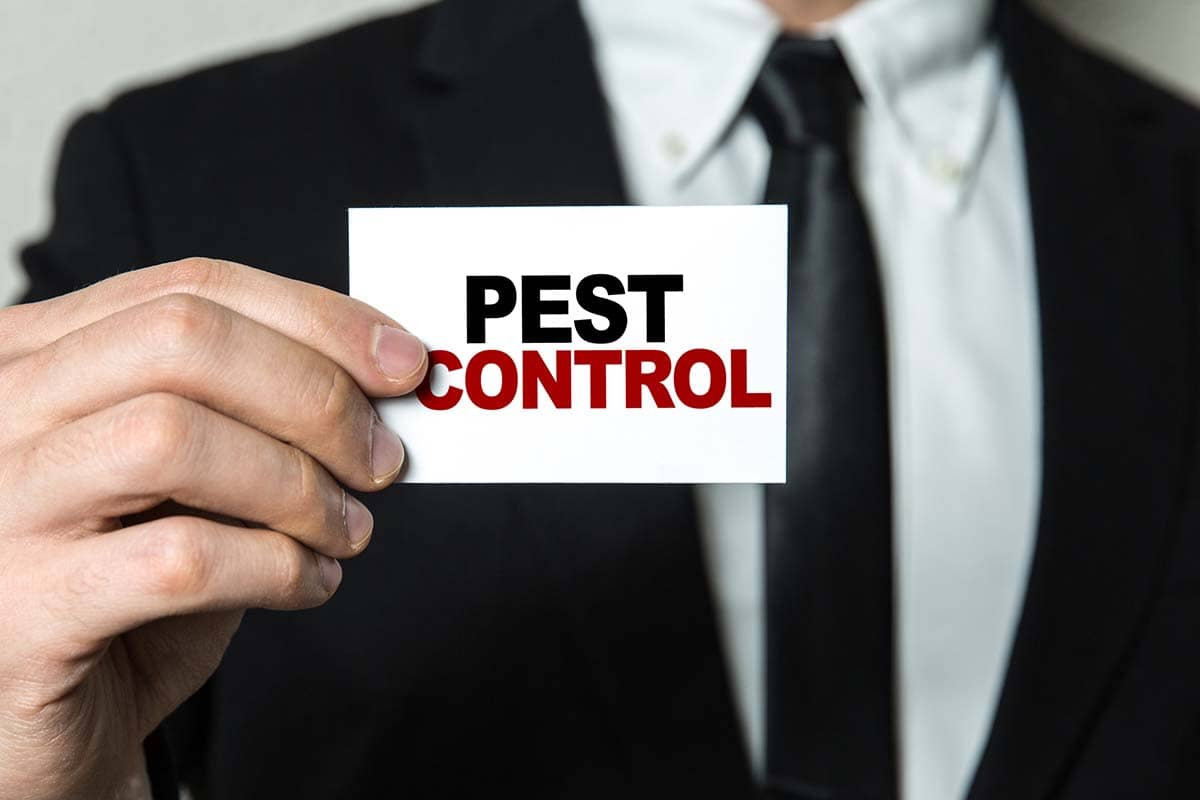 How to Find the Best Sacramento Pest Control Services