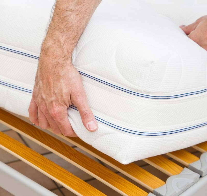 What to Do If You Have Bed Bugs