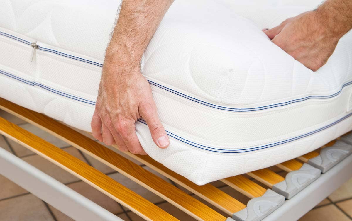 What to Do If You Have Bed Bugs