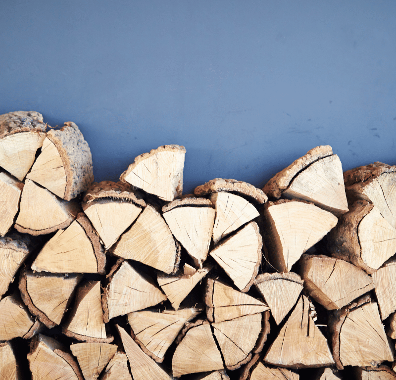 Firewood Pests You Need To Look Out For