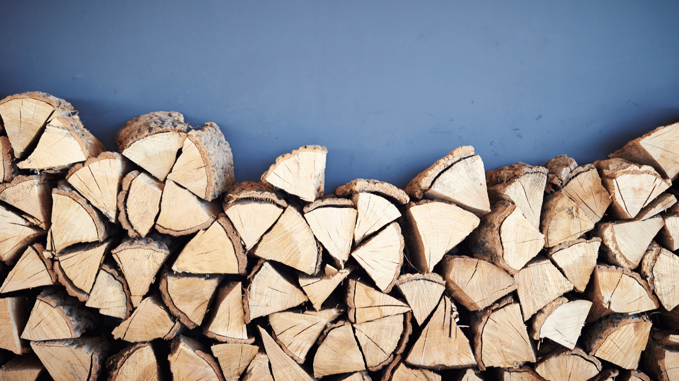 7 Firewood Pests You Need To Look Out For