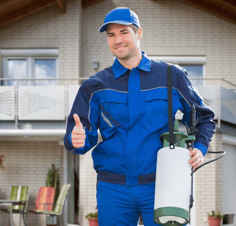 Mistakes to Avoid When Hiring a Pest Control Company