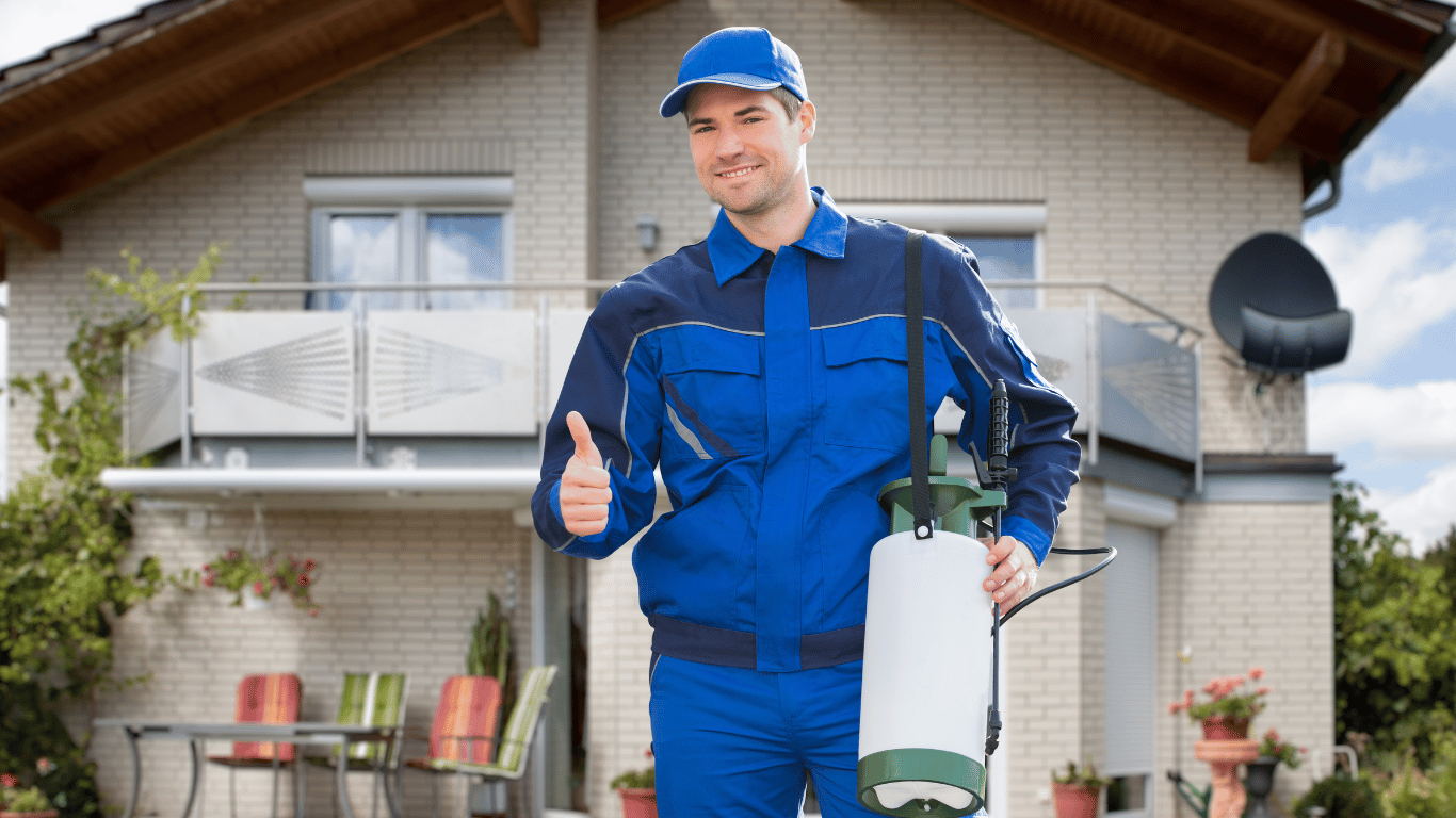 6 Mistakes to Avoid When Hiring a Pest Control Company