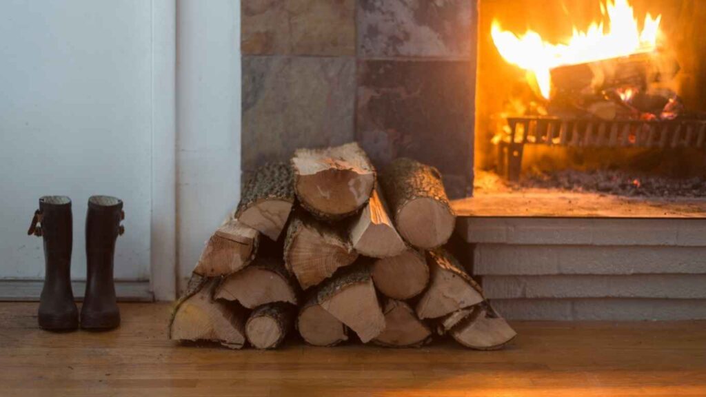 What Firewood Pests You Should Look Out For