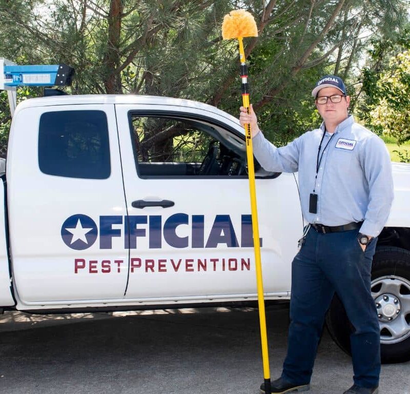 How Pest Professionals Improve Your Quality of Life