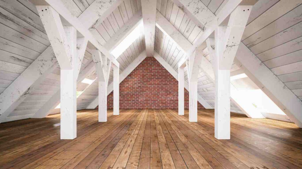 What Makes Attics Attractive to Pests?